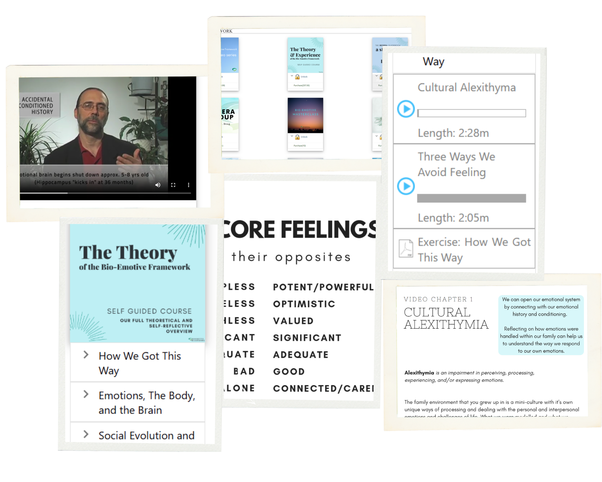 Bio-Emotive 101: Journey Into the Emotional System (Self-Paced) - Image 6