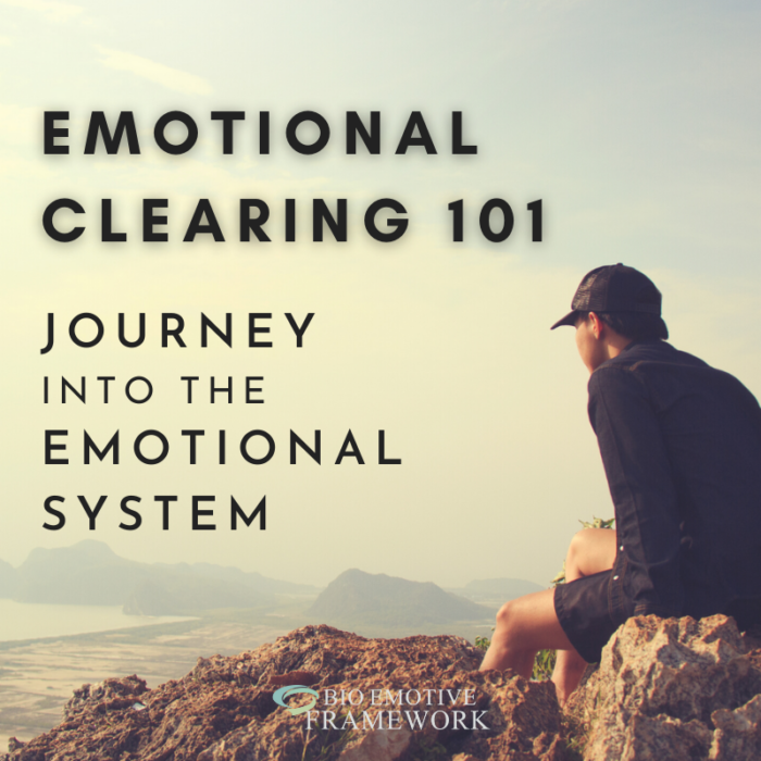 Emotional Clearing 101: Journey Into the Emotional System (Online Group)